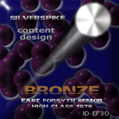 SilverSpike Award: Bronze