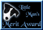Little Man's Award: Merit