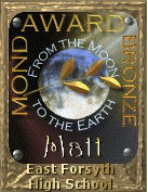 Moon Award: Bronze